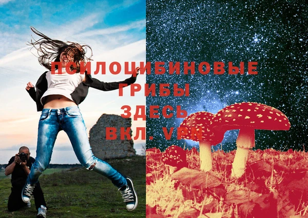 спиды Балахна